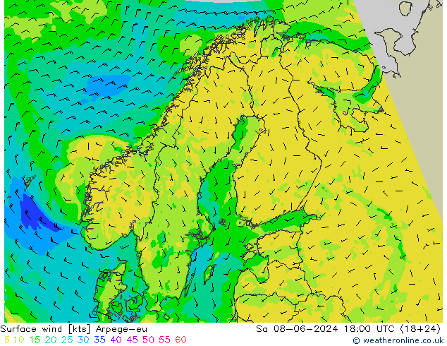 Surface wind Arpege-eu So 08.06.2024 18 UTC