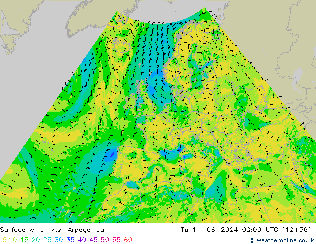 Surface wind Arpege-eu Tu 11.06.2024 00 UTC