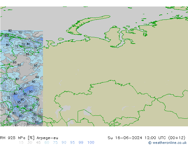 925 hPa Nispi Nem Arpege-eu Paz 16.06.2024 12 UTC