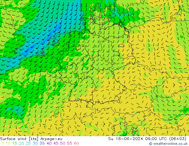 Surface wind Arpege-eu Ne 16.06.2024 09 UTC