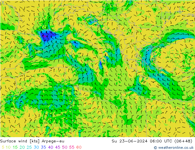 Surface wind Arpege-eu Ne 23.06.2024 06 UTC