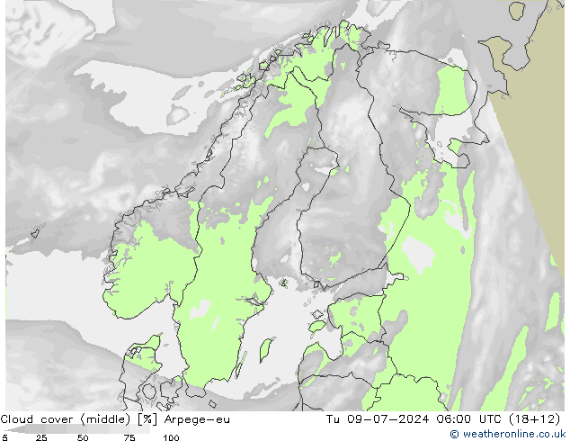 Bewolking (Middelb.) Arpege-eu di 09.07.2024 06 UTC