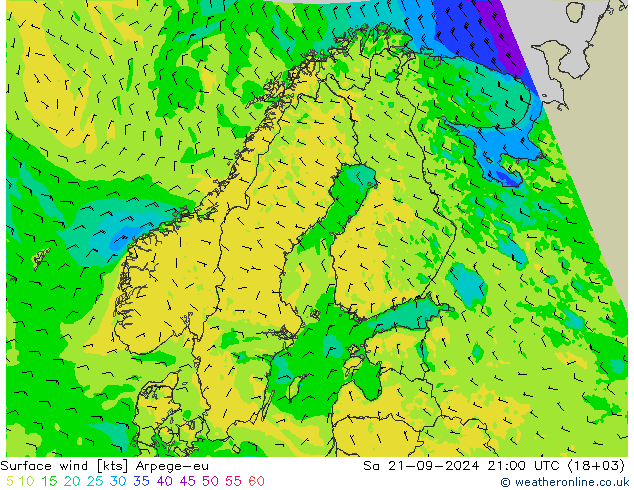 风 10 米 Arpege-eu 星期六 21.09.2024 21 UTC