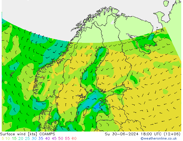 风 10 米 COAMPS 星期日 30.06.2024 18 UTC