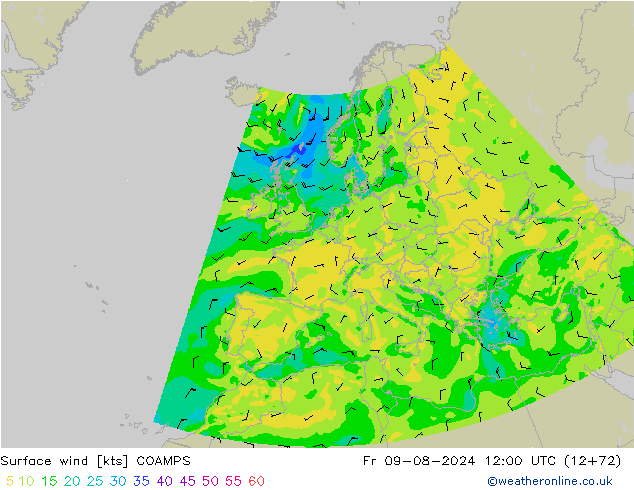 Wind 10 m COAMPS vr 09.08.2024 12 UTC