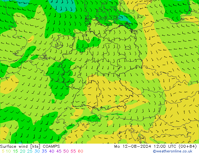 风 10 米 COAMPS 星期一 12.08.2024 12 UTC