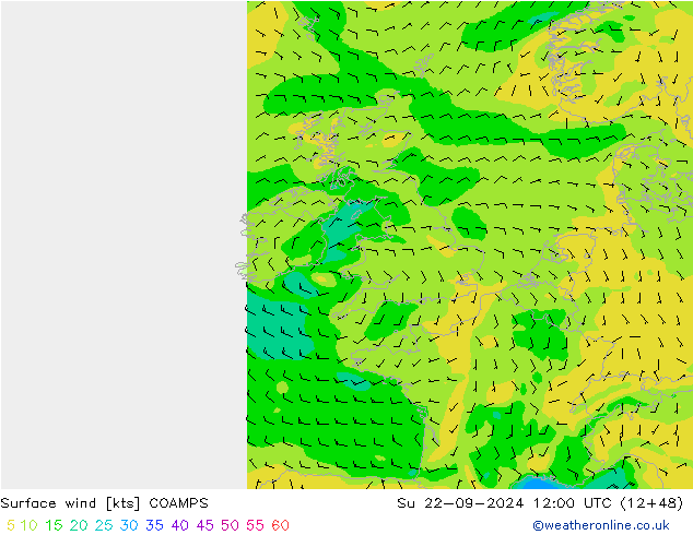 Surface wind COAMPS Ne 22.09.2024 12 UTC