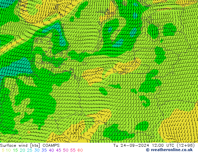 Surface wind COAMPS Tu 24.09.2024 12 UTC