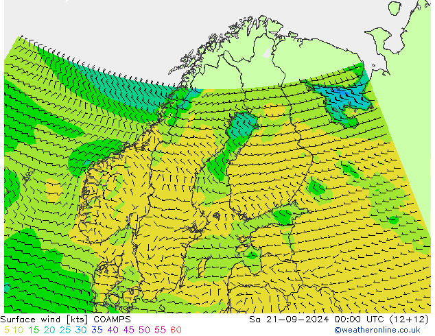 Surface wind COAMPS Sa 21.09.2024 00 UTC