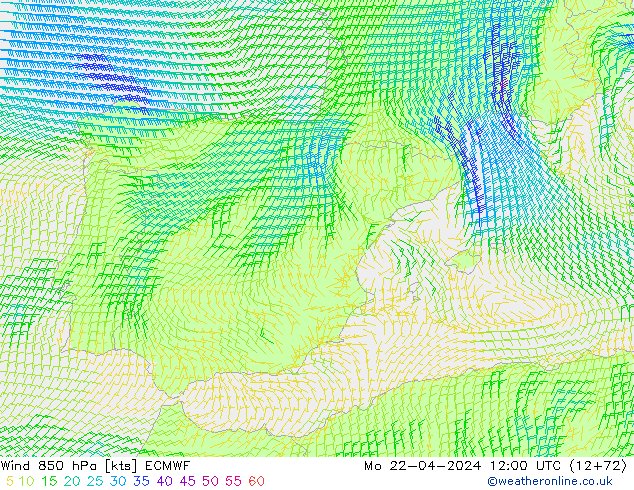 Wind 850 hPa ECMWF Mo 22.04.2024 12 UTC
