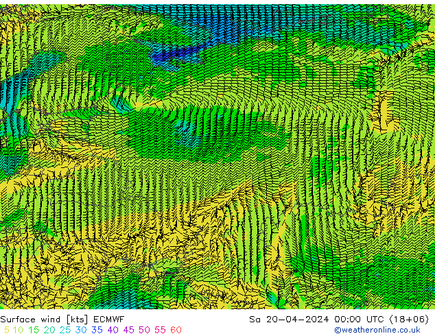Wind 10 m ECMWF za 20.04.2024 00 UTC