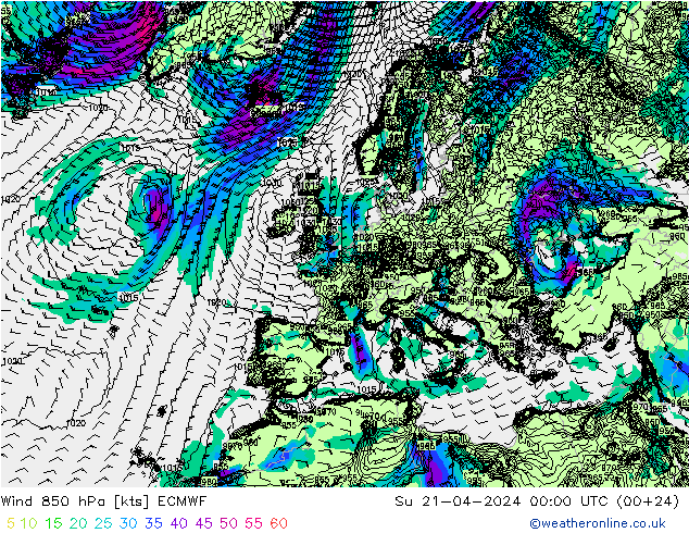 Wind 850 hPa ECMWF zo 21.04.2024 00 UTC