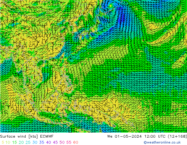 Surface wind ECMWF We 01.05.2024 12 UTC