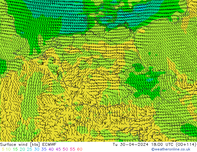 Surface wind ECMWF Tu 30.04.2024 18 UTC