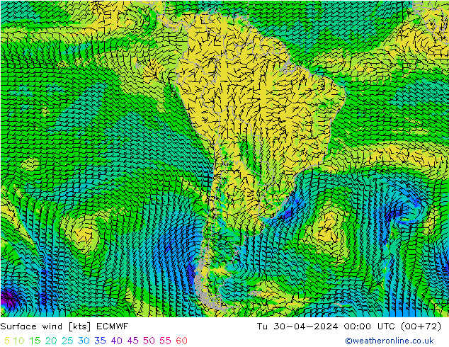 Surface wind ECMWF Tu 30.04.2024 00 UTC