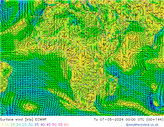 ветер 10 m ECMWF вт 07.05.2024 00 UTC