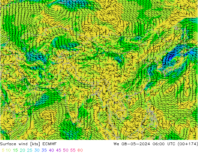  10 m ECMWF  08.05.2024 06 UTC