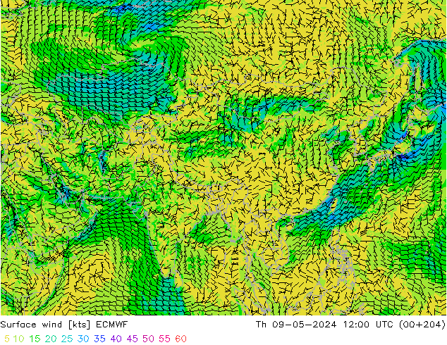 Surface wind ECMWF Th 09.05.2024 12 UTC