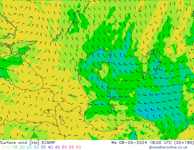 Surface wind ECMWF We 08.05.2024 18 UTC