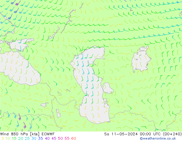  850 hPa ECMWF  11.05.2024 00 UTC