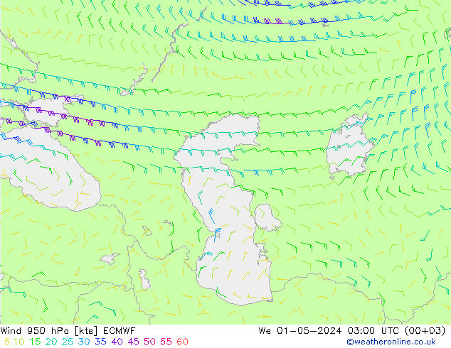 Wind 950 hPa ECMWF We 01.05.2024 03 UTC