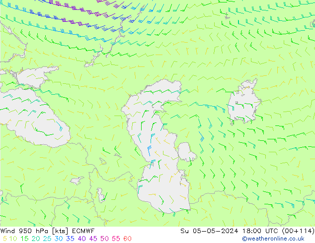 Rüzgar 950 hPa ECMWF Paz 05.05.2024 18 UTC