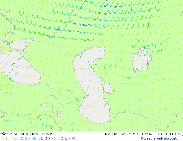 Rüzgar 950 hPa ECMWF Pzt 06.05.2024 12 UTC