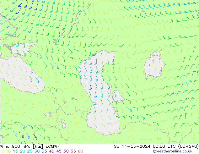  950 hPa ECMWF  11.05.2024 00 UTC