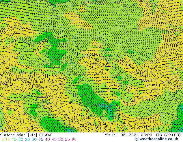  10 m ECMWF  01.05.2024 03 UTC