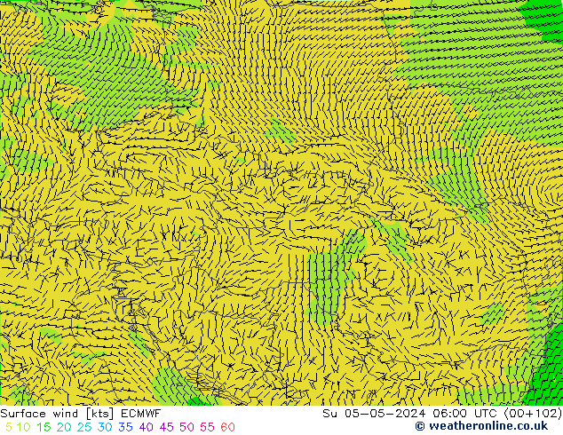 ветер 10 m ECMWF Вс 05.05.2024 06 UTC