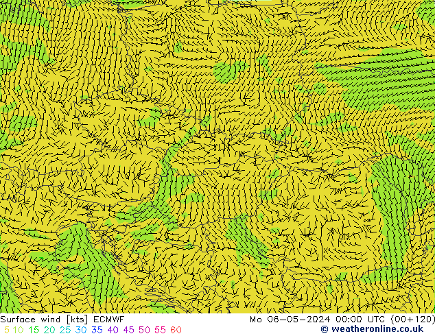 Bodenwind ECMWF Mo 06.05.2024 00 UTC