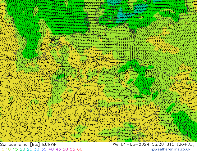 Viento 10 m ECMWF mié 01.05.2024 03 UTC