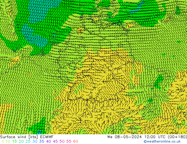 Surface wind ECMWF We 08.05.2024 12 UTC