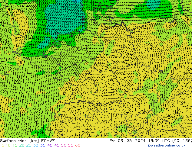 Surface wind ECMWF We 08.05.2024 18 UTC