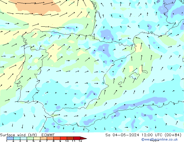 Surface wind (bft) ECMWF Sa 04.05.2024 12 UTC