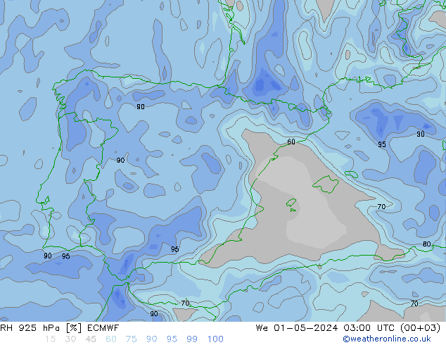 RH 925 гПа ECMWF ср 01.05.2024 03 UTC