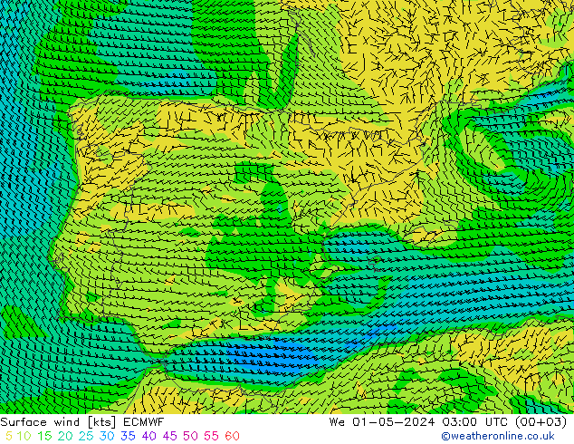 Wind 10 m ECMWF wo 01.05.2024 03 UTC