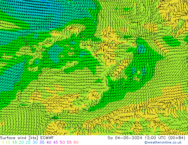 Vento 10 m ECMWF sab 04.05.2024 12 UTC