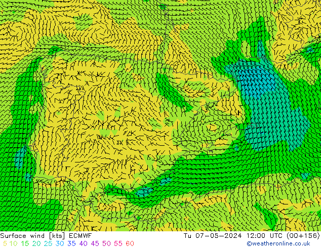 Vento 10 m ECMWF mar 07.05.2024 12 UTC