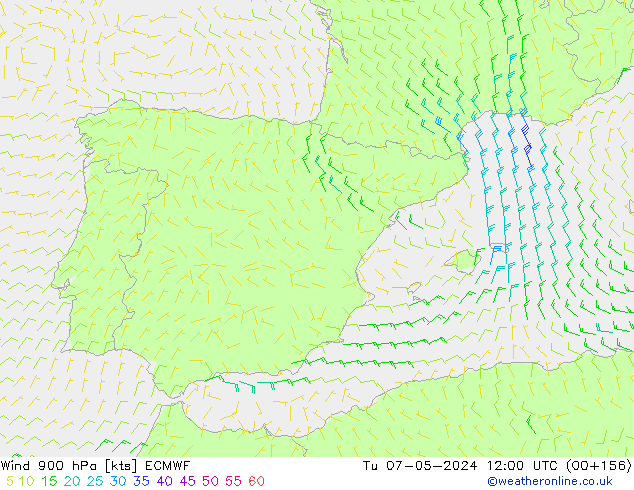 ветер 900 гПа ECMWF вт 07.05.2024 12 UTC