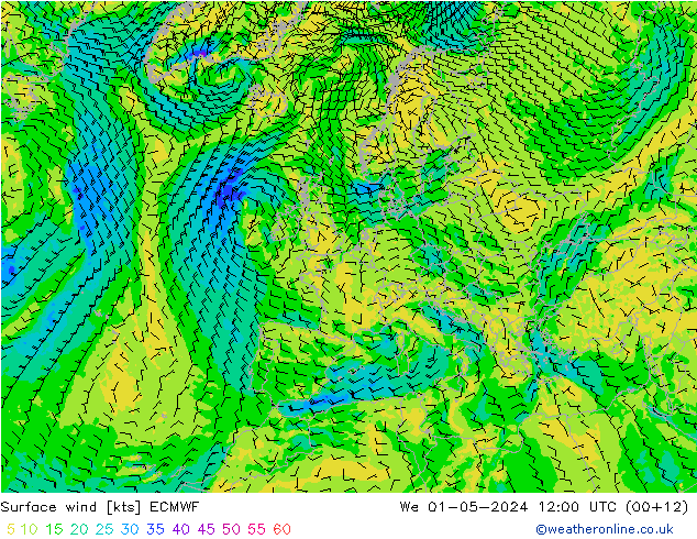 ветер 10 m ECMWF ср 01.05.2024 12 UTC