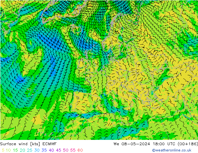 ветер 10 m ECMWF ср 08.05.2024 18 UTC