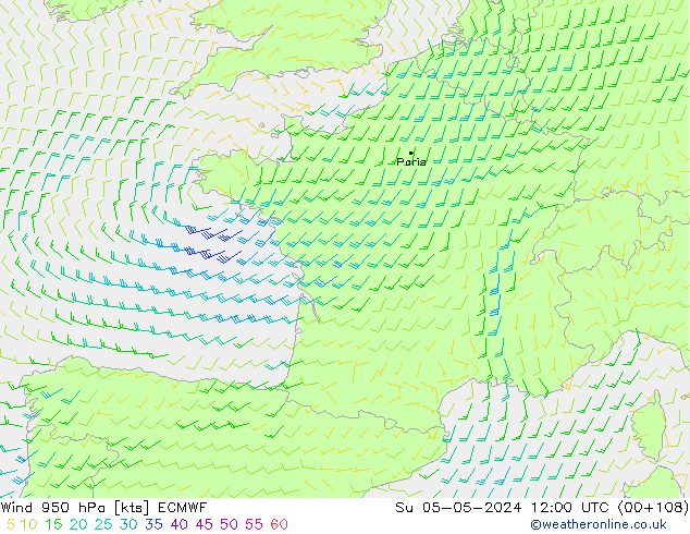 Prec 6h/Wind 10m/950 ECMWF dom 05.05.2024 12 UTC