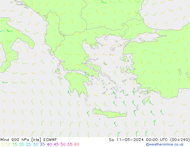 Wind 900 hPa ECMWF Sa 11.05.2024 00 UTC