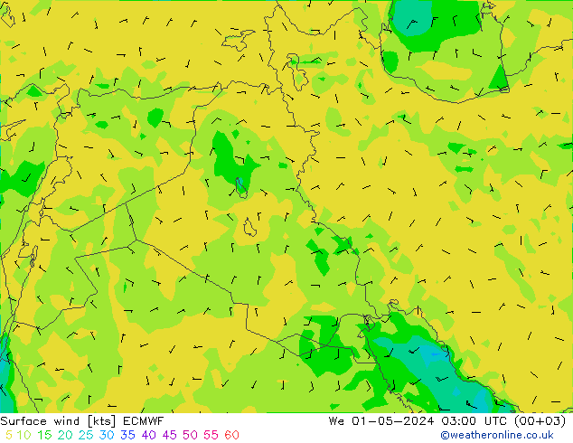 Wind 10 m ECMWF wo 01.05.2024 03 UTC