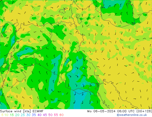 ветер 10 m ECMWF пн 06.05.2024 06 UTC