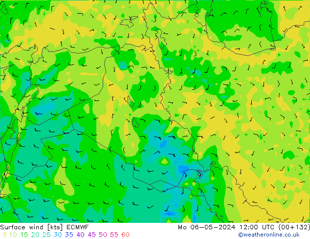 Wind 10 m ECMWF ma 06.05.2024 12 UTC