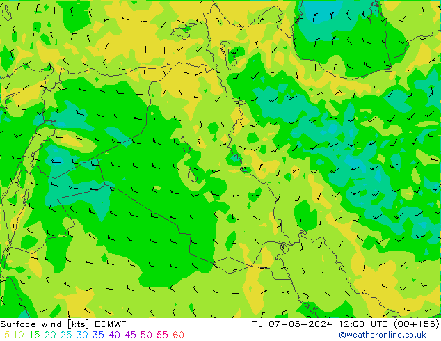 Viento 10 m ECMWF mar 07.05.2024 12 UTC