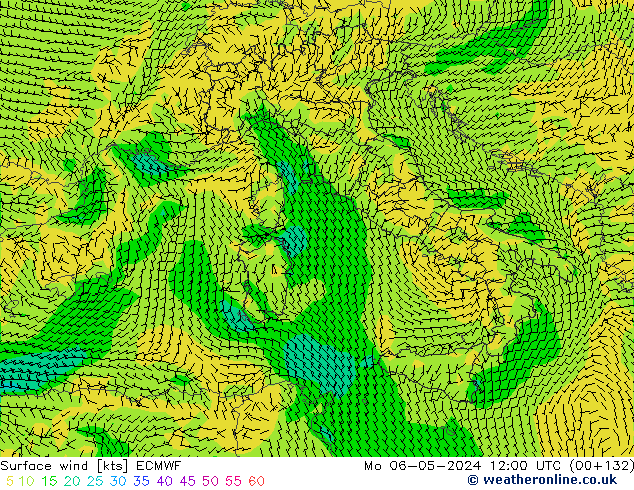 Surface wind ECMWF Po 06.05.2024 12 UTC