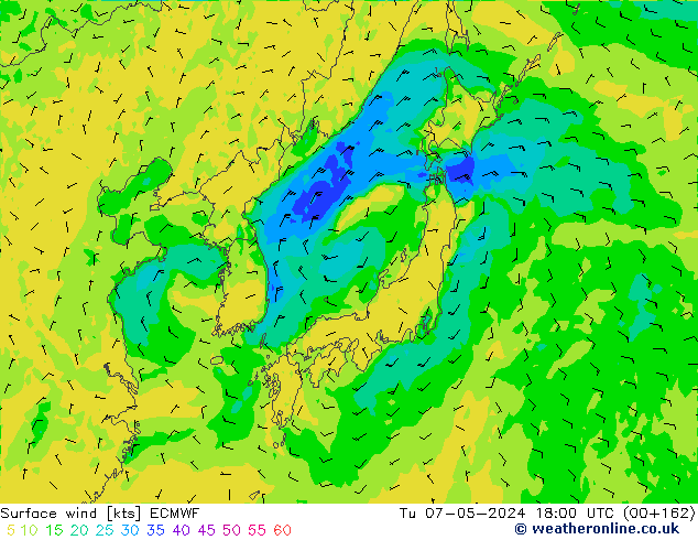 Surface wind ECMWF Tu 07.05.2024 18 UTC